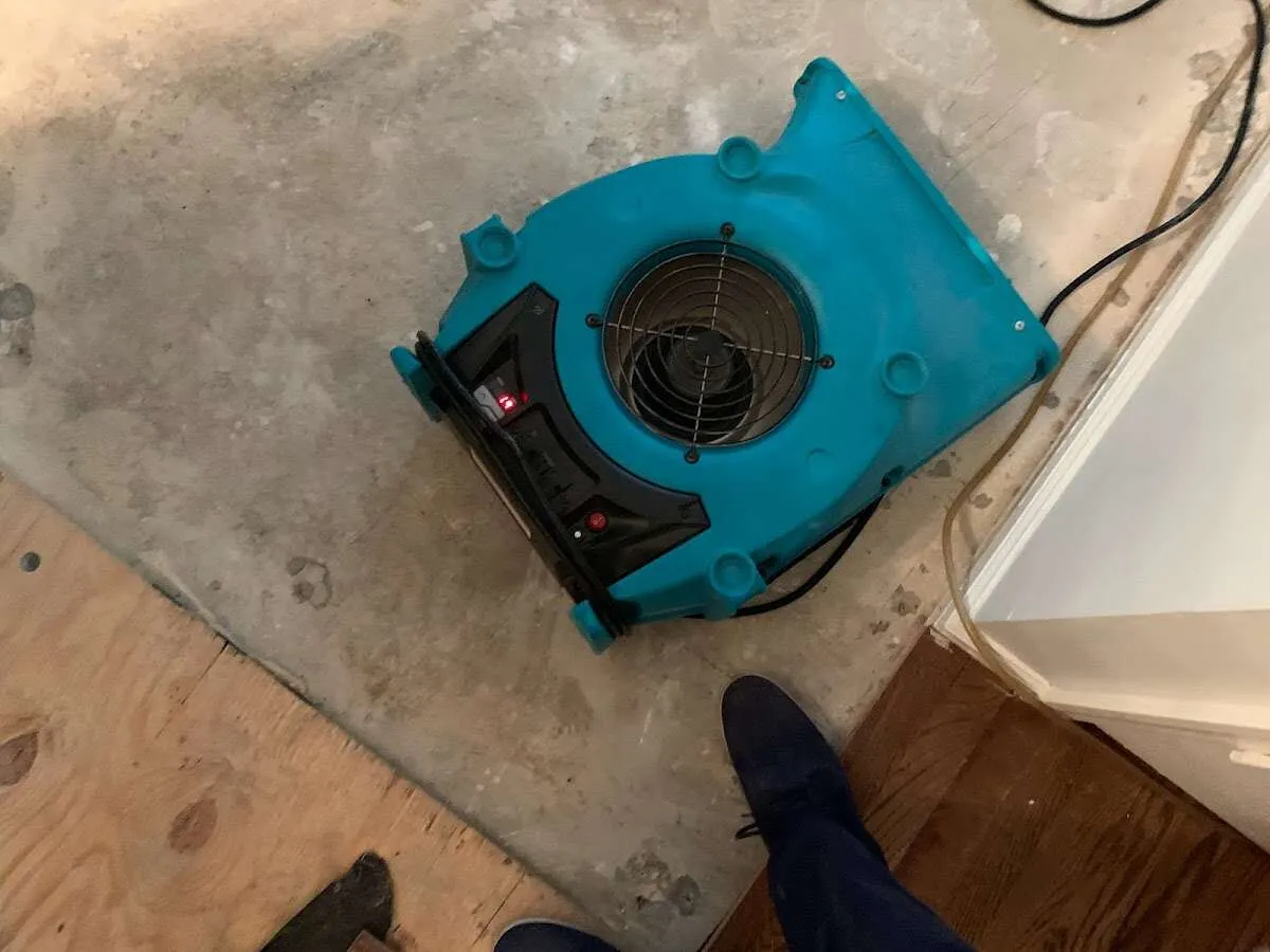 Air mover drying subfloor during Leak Detection & Repair in Maysville